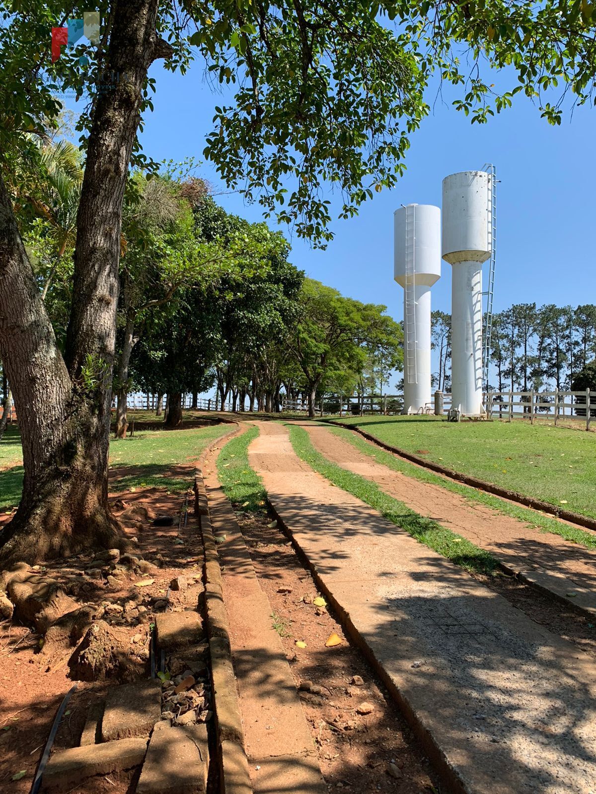 Fazenda à venda com 5 quartos, 170000m² - Foto 26