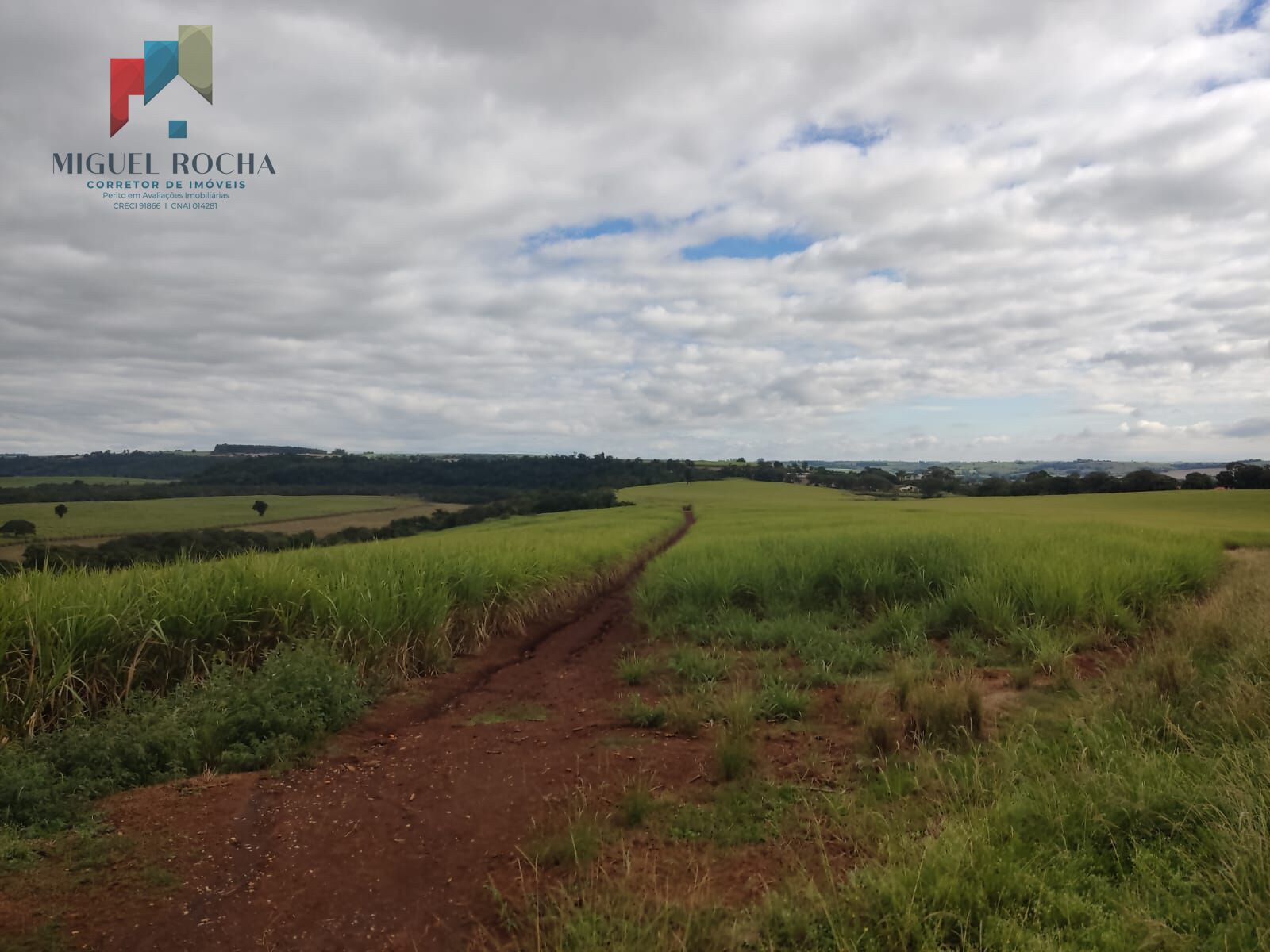 Fazenda à venda com 1 quarto, 2928200m² - Foto 2