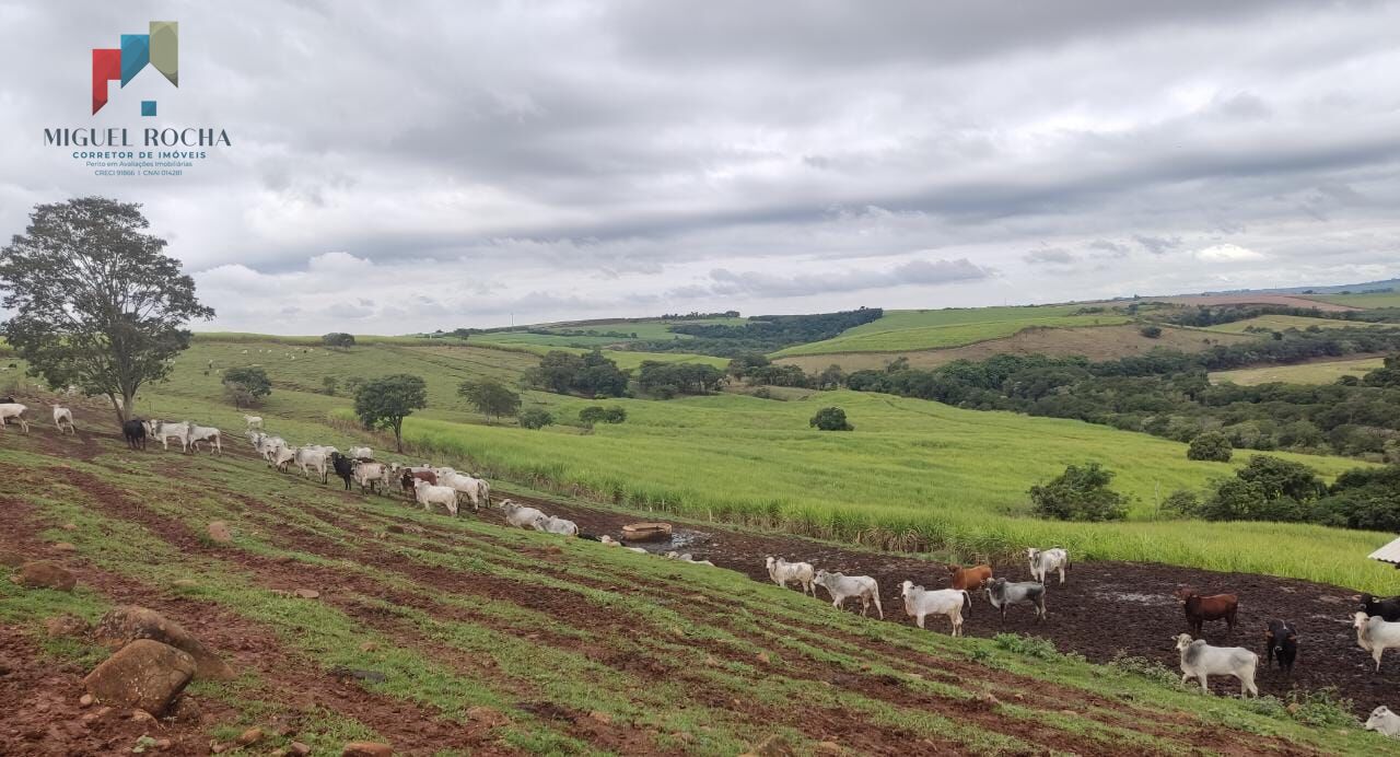 Fazenda à venda com 1 quarto, 2928200m² - Foto 8