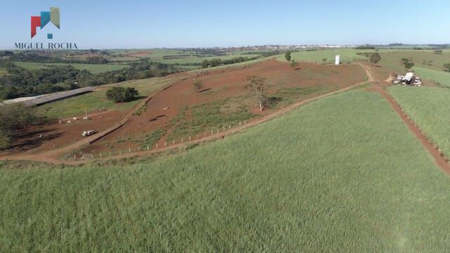 Fazenda à venda com 1 quarto, 2928200m² - Foto 16