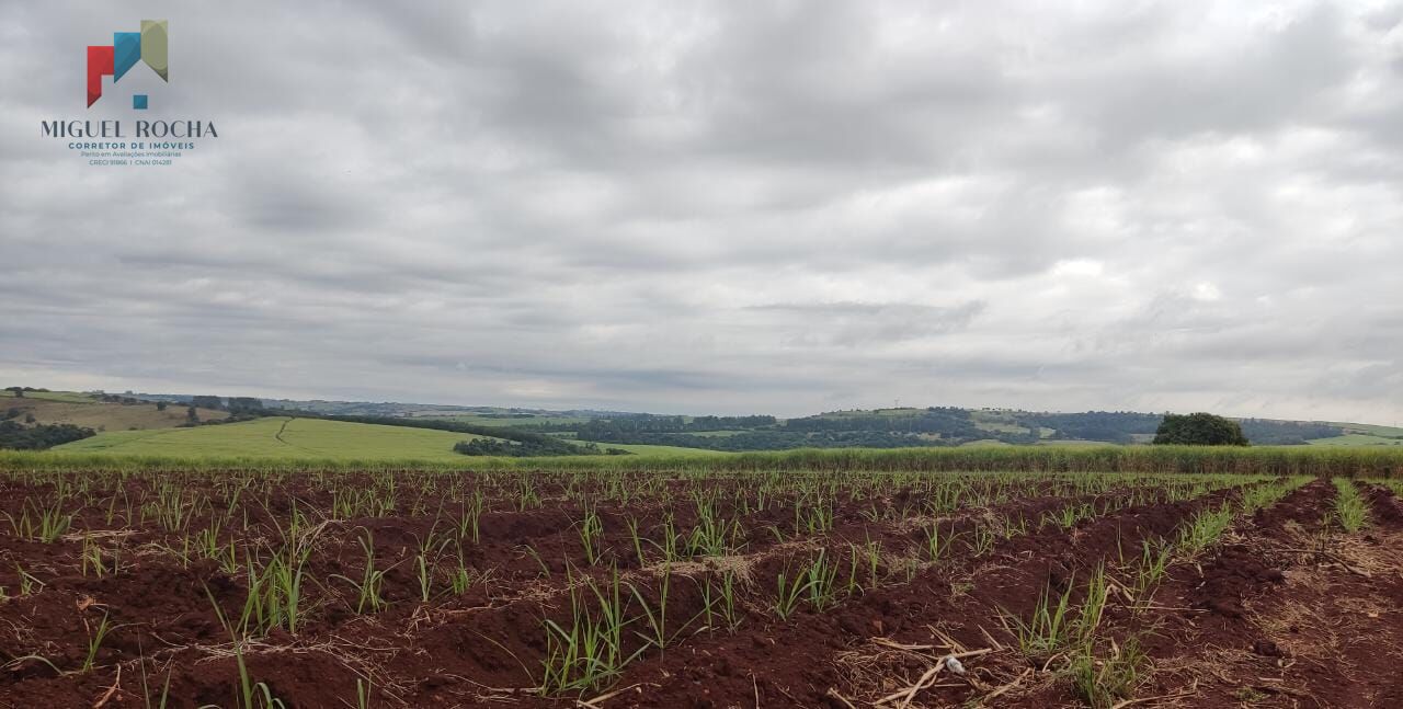 Fazenda à venda com 1 quarto, 2928200m² - Foto 4