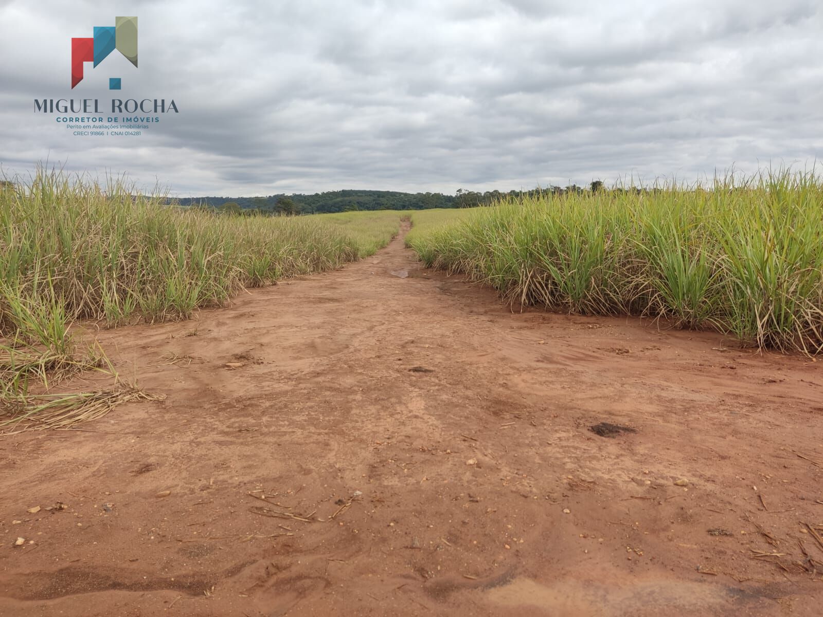 Fazenda à venda com 1 quarto, 2928200m² - Foto 6