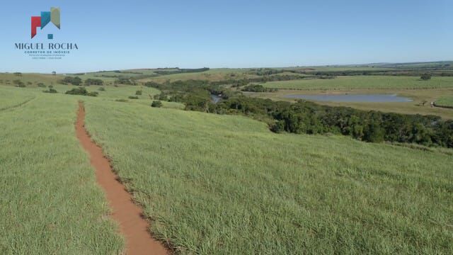 Fazenda à venda com 1 quarto, 2928200m² - Foto 13