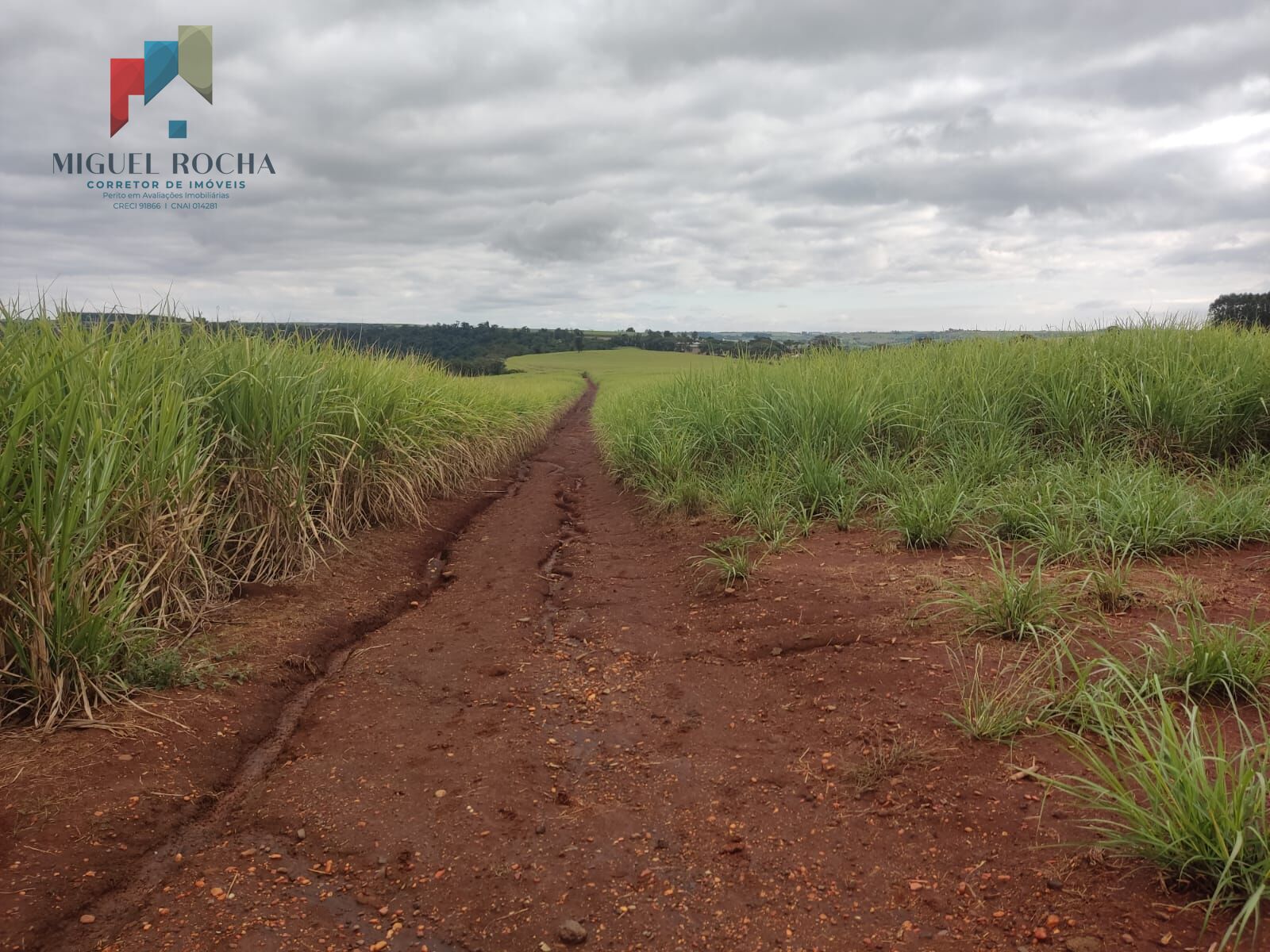 Fazenda à venda com 1 quarto, 2928200m² - Foto 11