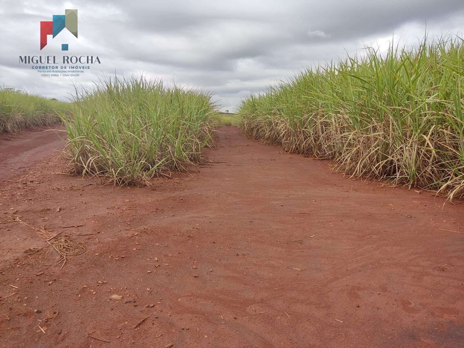 Fazenda à venda com 1 quarto, 2928200m² - Foto 10