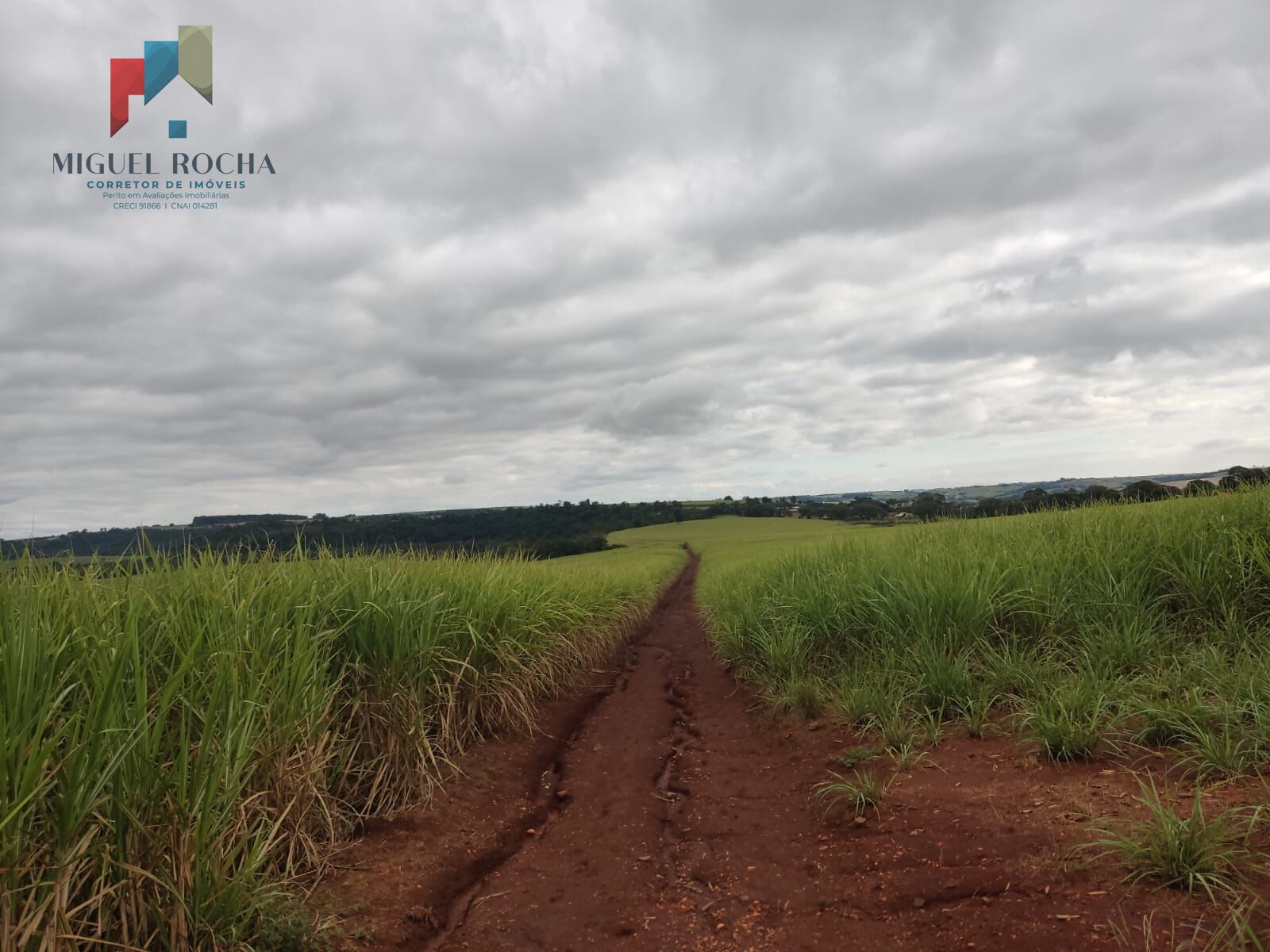 Fazenda à venda com 1 quarto, 2928200m² - Foto 3