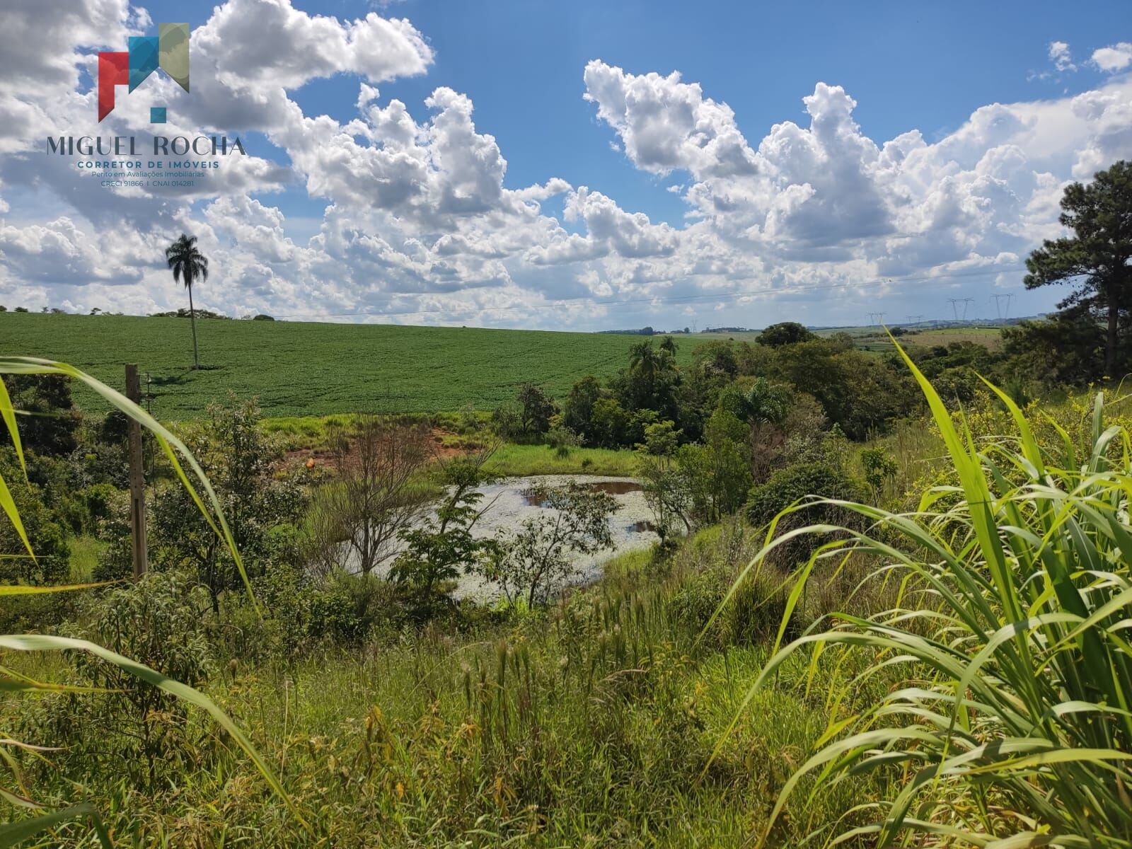 Fazenda à venda com 2 quartos, 726000m² - Foto 3