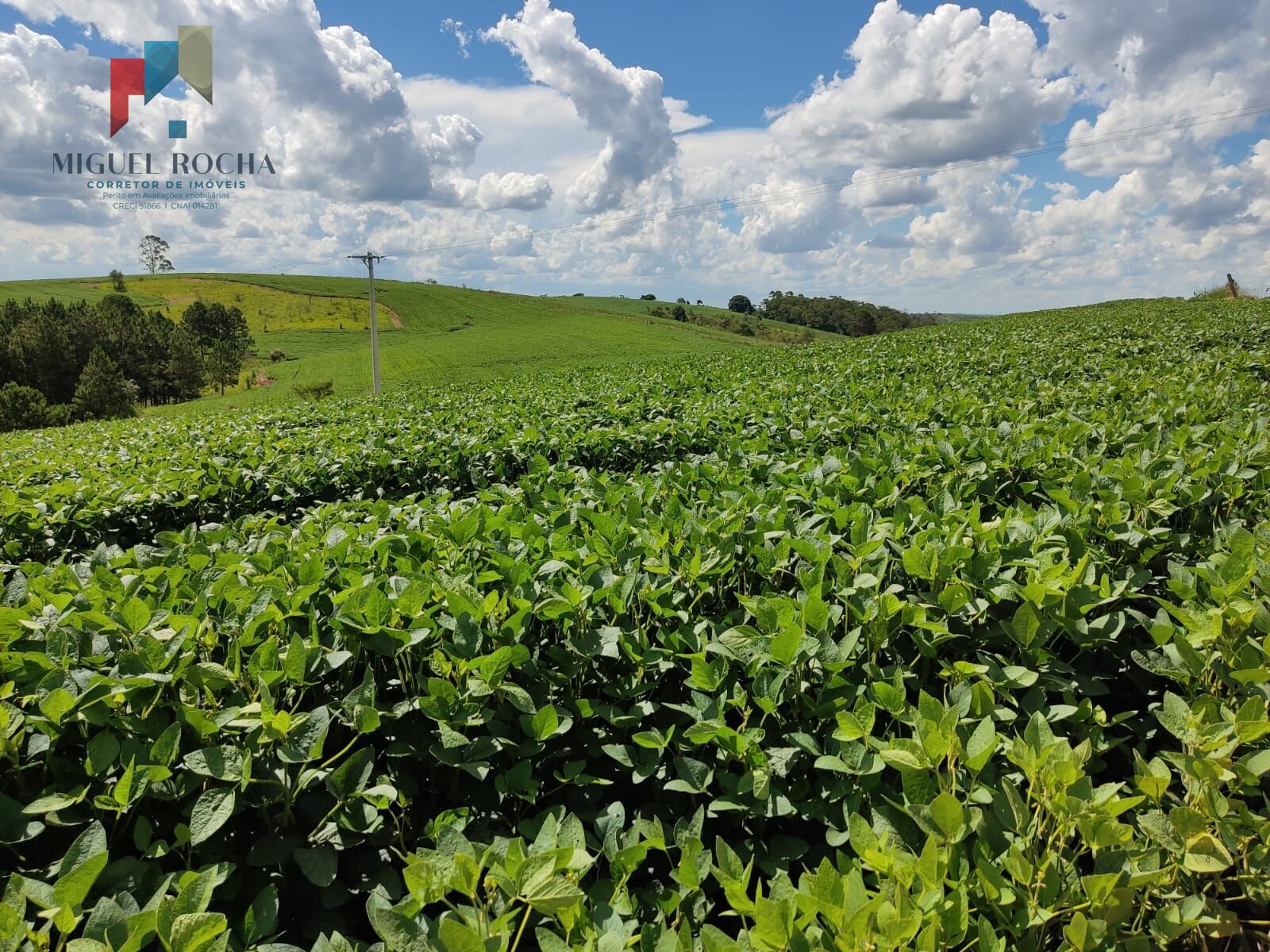 Fazenda à venda com 2 quartos, 726000m² - Foto 2