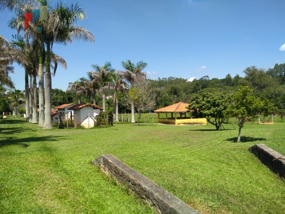 Fazenda à venda com 4 quartos, 72600m² - Foto 37