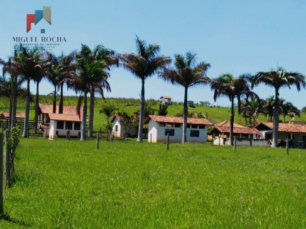 Fazenda à venda com 4 quartos, 72600m² - Foto 30