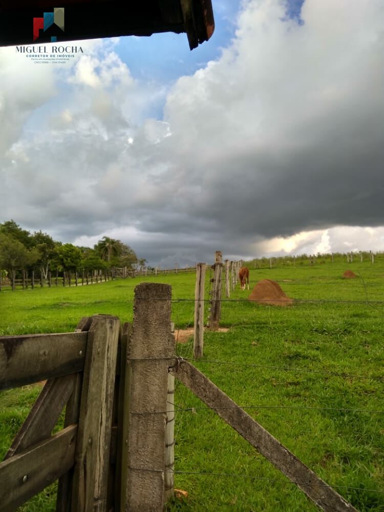 Fazenda à venda com 4 quartos, 72600m² - Foto 7