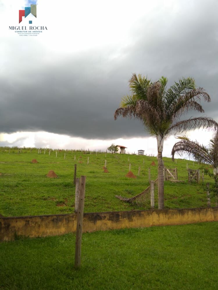 Fazenda à venda com 4 quartos, 72600m² - Foto 6