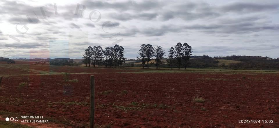 Fazenda à venda com 1 quarto, 20m² - Foto 3