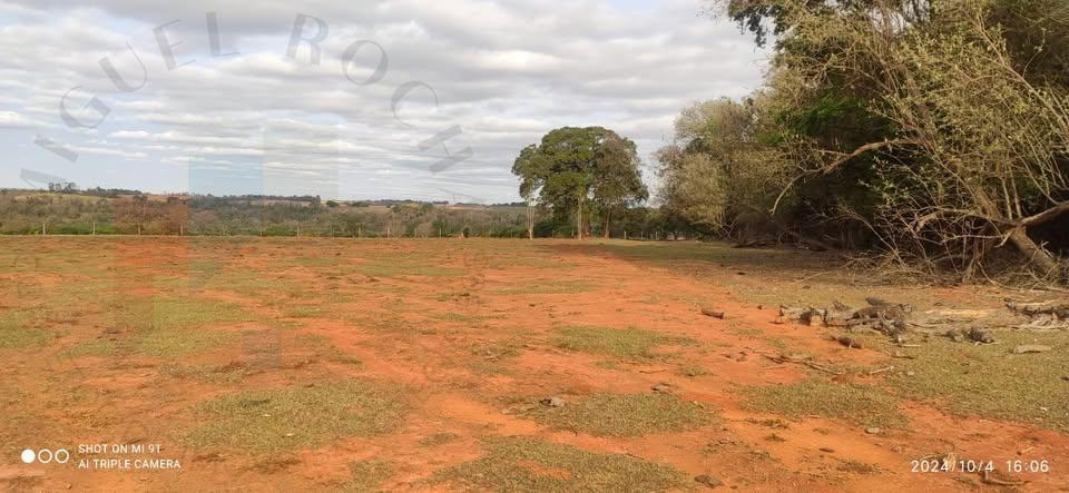 Fazenda à venda com 1 quarto, 20m² - Foto 1