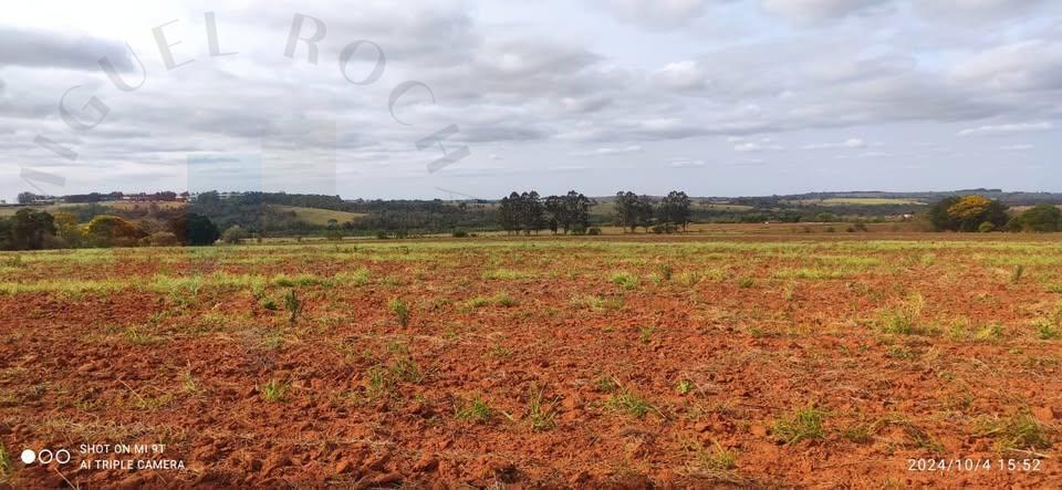 Fazenda à venda com 1 quarto, 20m² - Foto 2