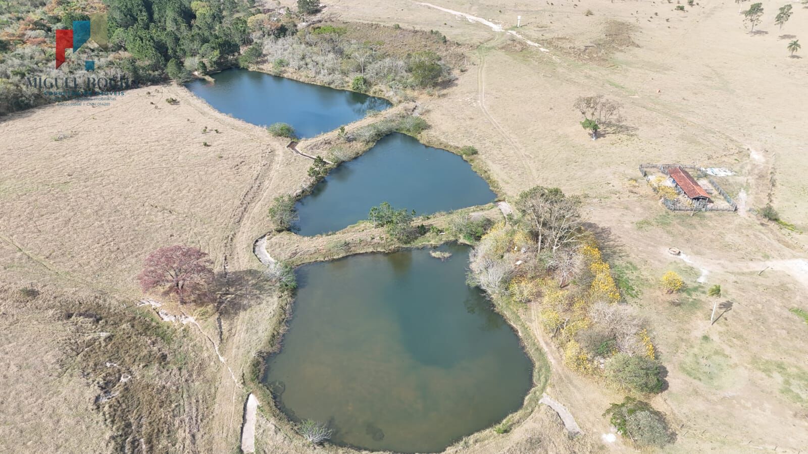 Fazenda à venda com 2 quartos - Foto 7