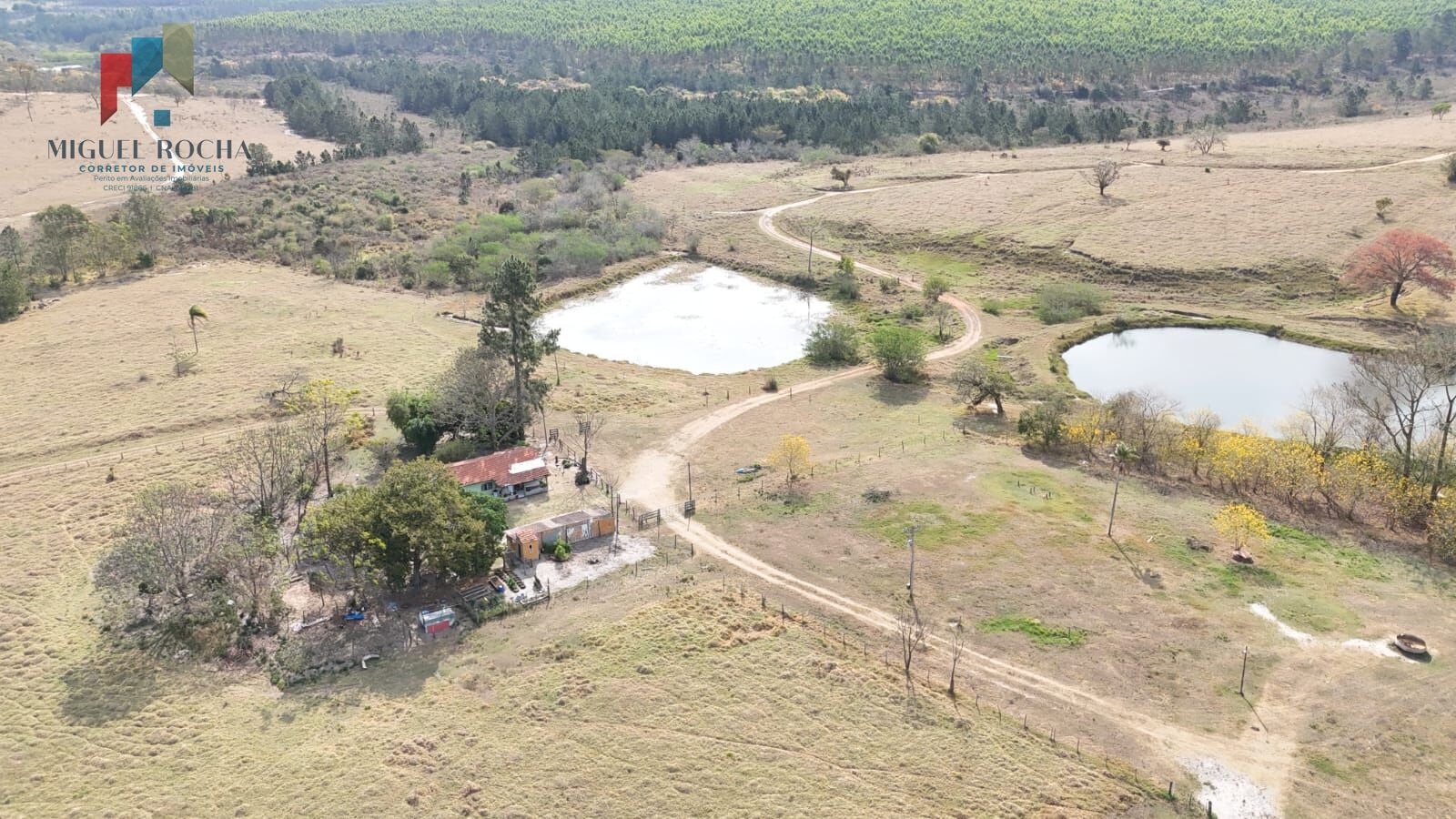 Fazenda à venda com 2 quartos - Foto 4