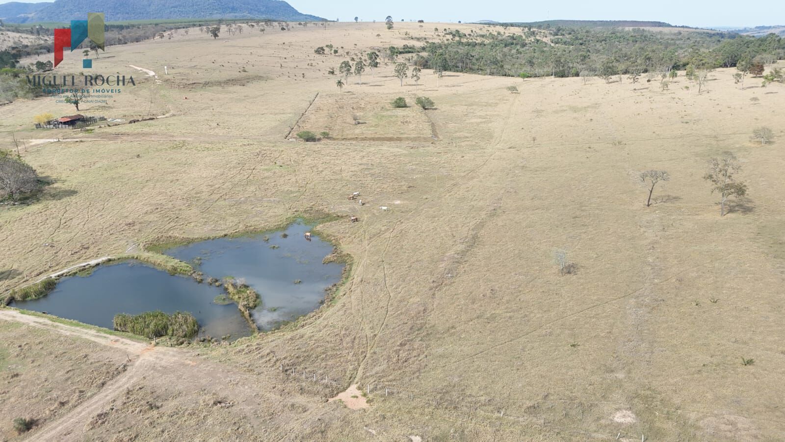 Fazenda à venda com 2 quartos - Foto 8