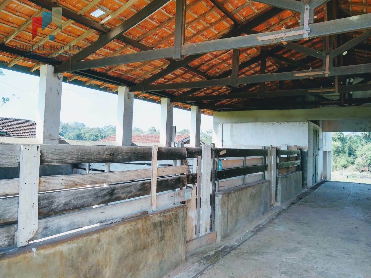 Fazenda à venda com 4 quartos, 336380m² - Foto 23