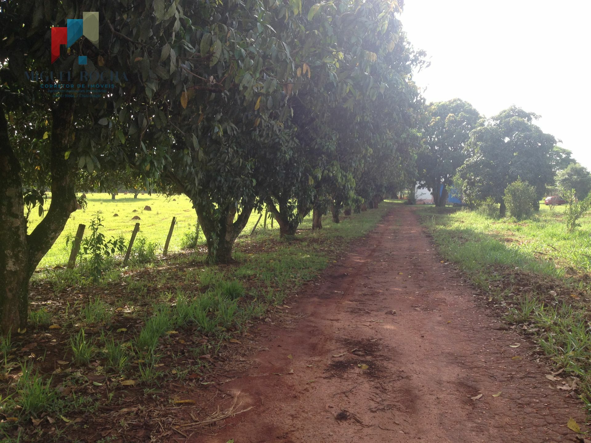 Fazenda à venda com 2 quartos, 88400m² - Foto 19