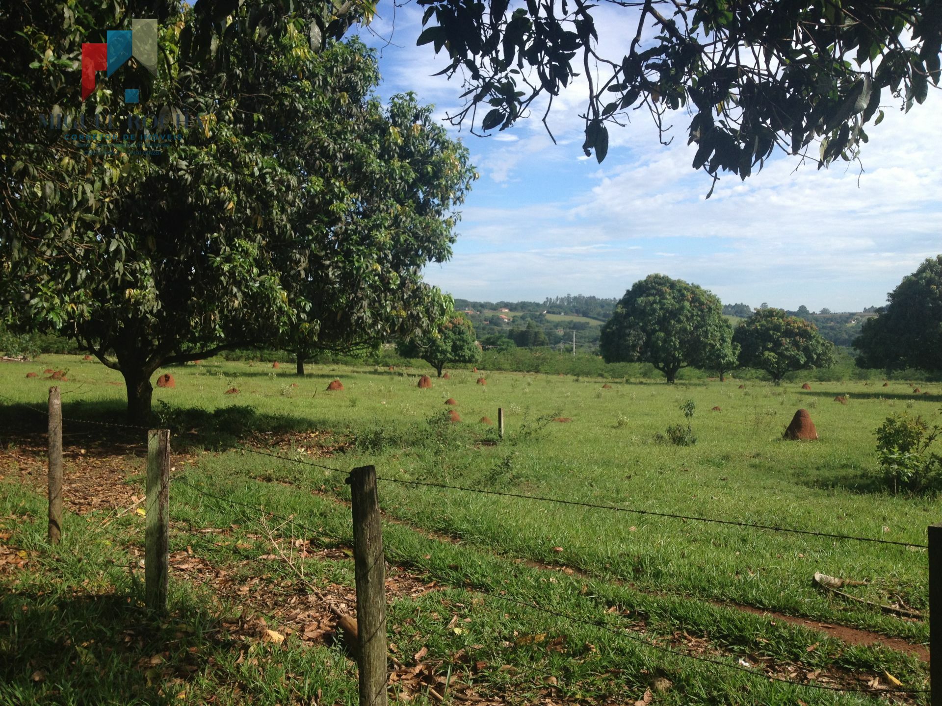 Fazenda à venda com 2 quartos, 88400m² - Foto 15