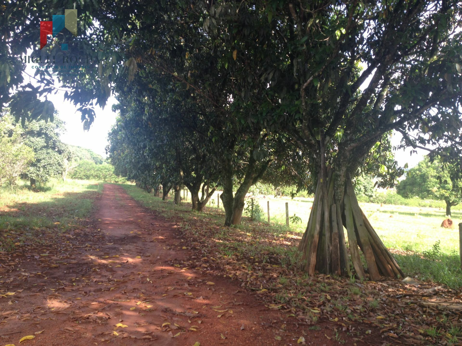 Fazenda à venda com 2 quartos, 88400m² - Foto 1