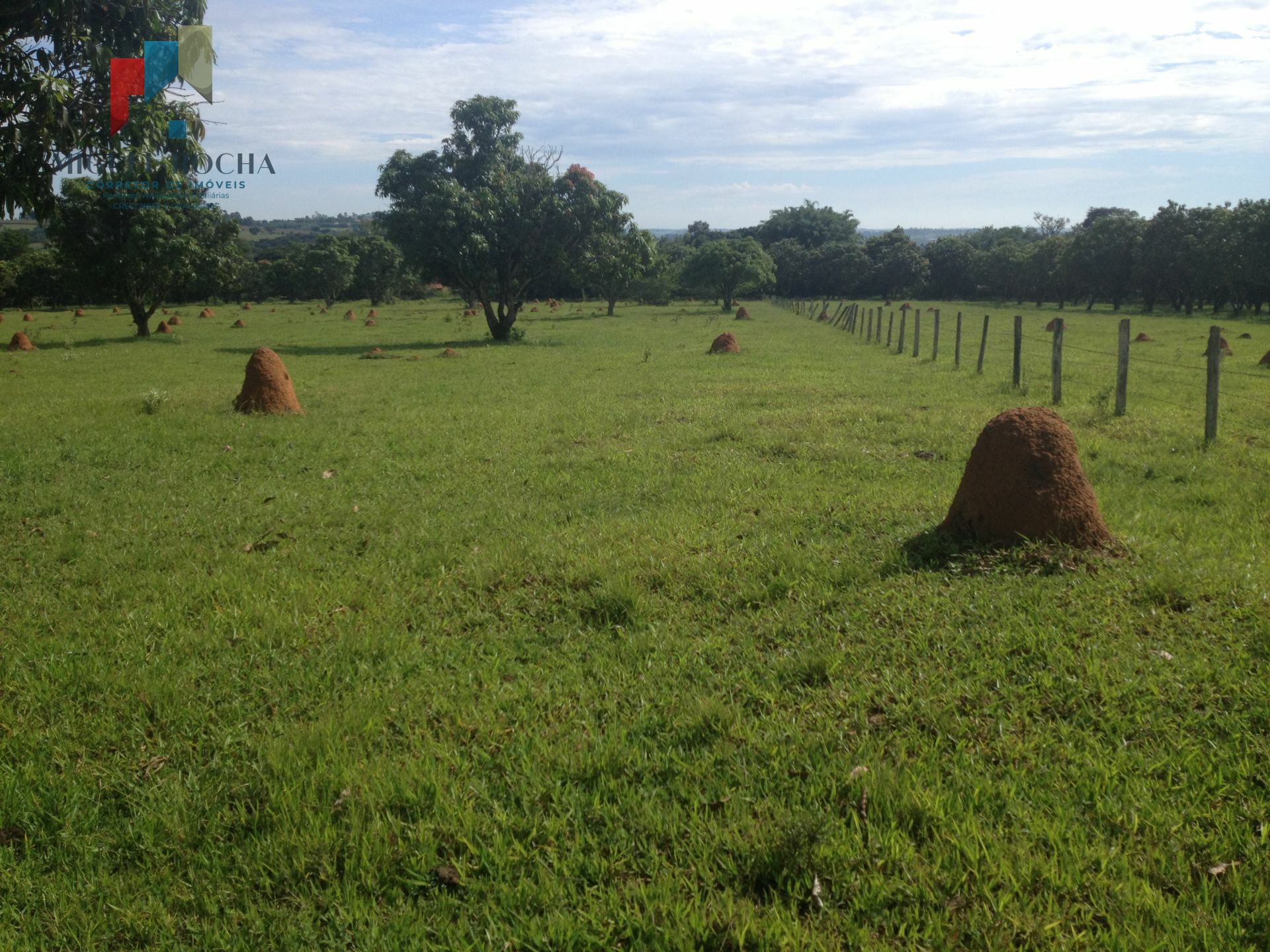 Fazenda à venda com 2 quartos, 88400m² - Foto 3