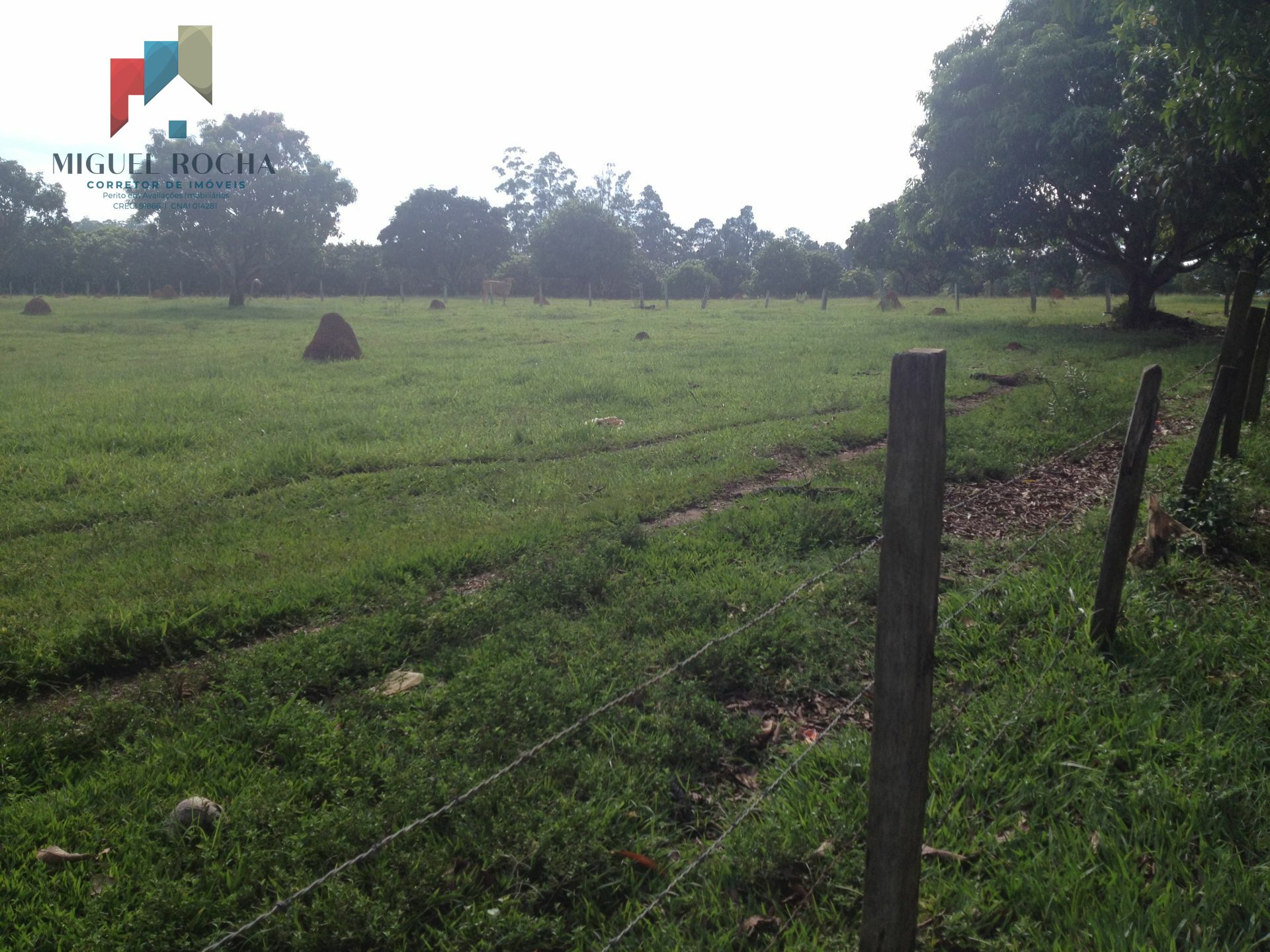 Fazenda à venda com 2 quartos, 88400m² - Foto 30