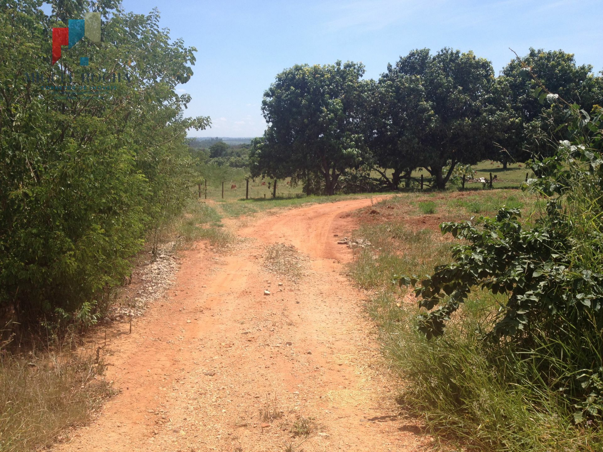 Fazenda à venda com 2 quartos, 88400m² - Foto 23