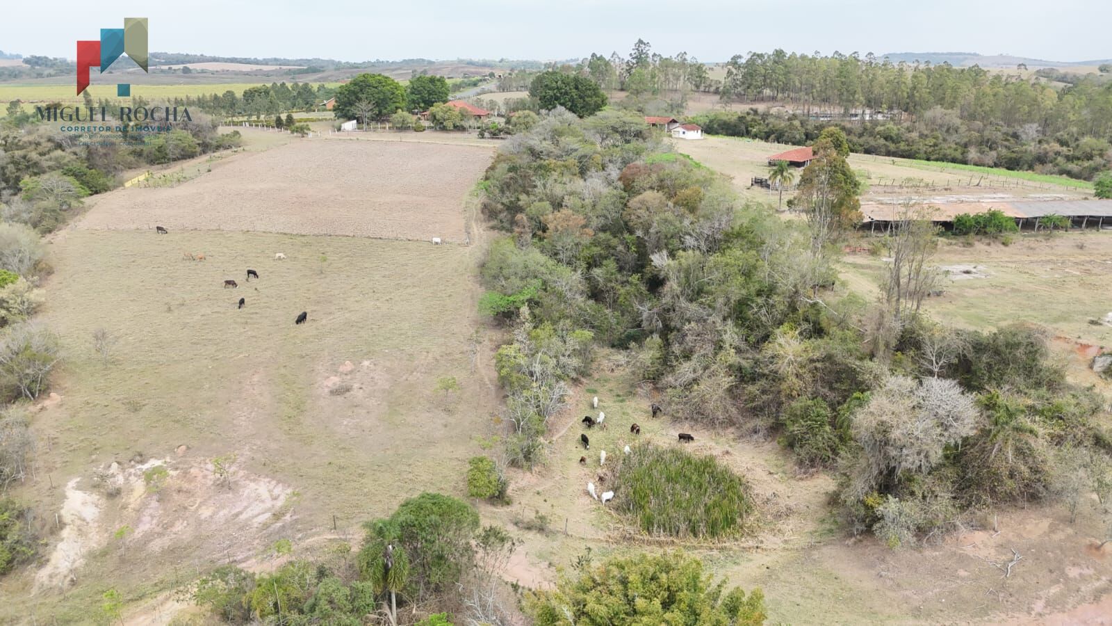 Sítio à venda com 2 quartos, 316536m² - Foto 18