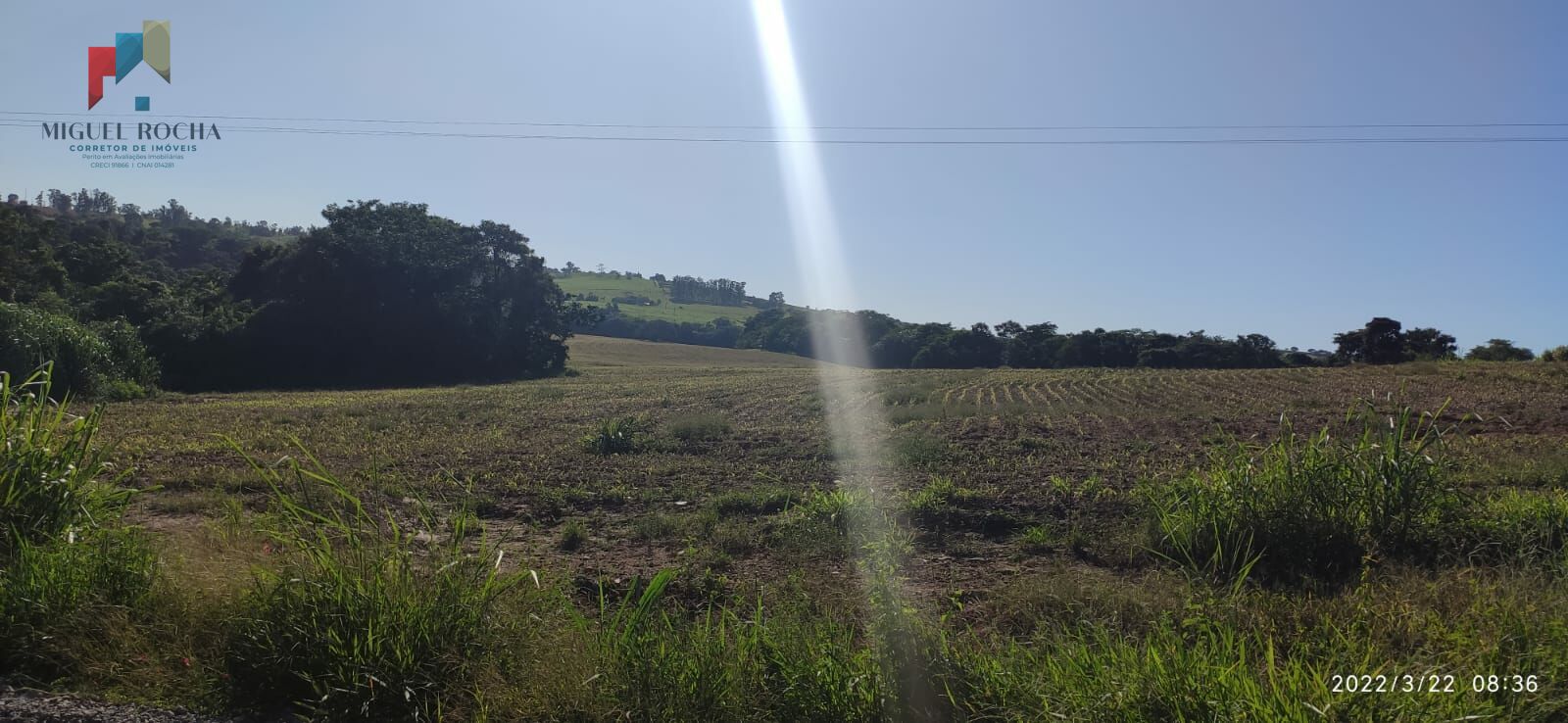 Fazenda à venda com 1 quarto, 459800m² - Foto 3