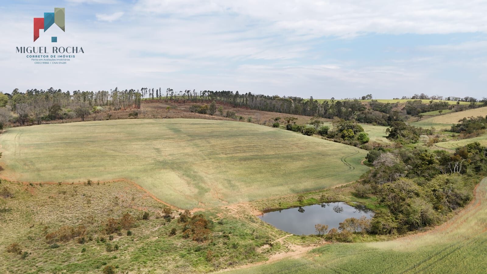 Sítio à venda, 357676m² - Foto 11