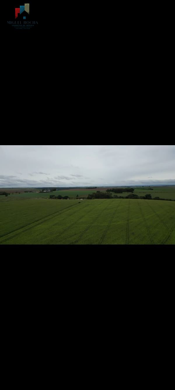 Fazenda, 310 hectares - Foto 2