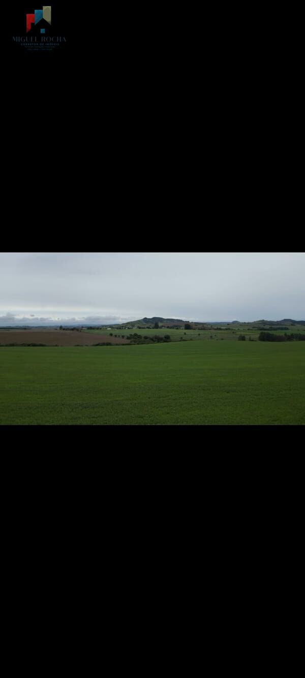 Fazenda, 310 hectares - Foto 1