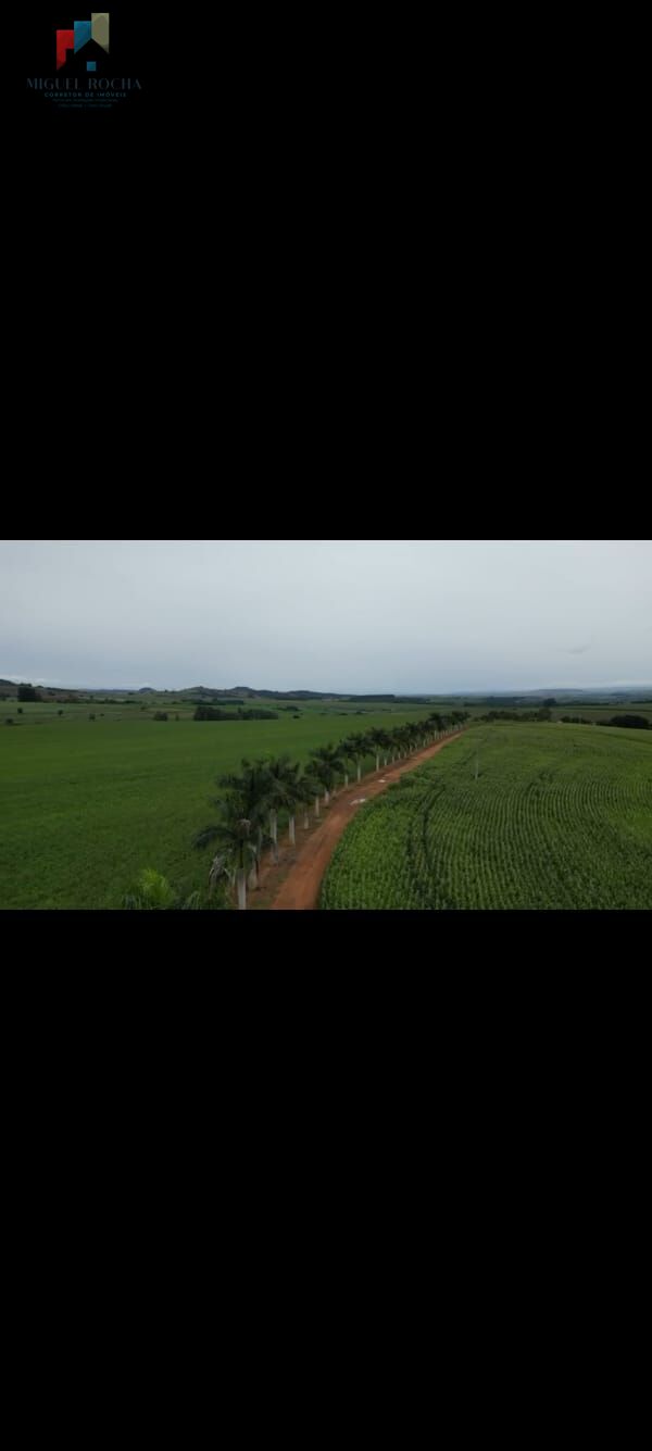 Fazenda, 310 hectares - Foto 3