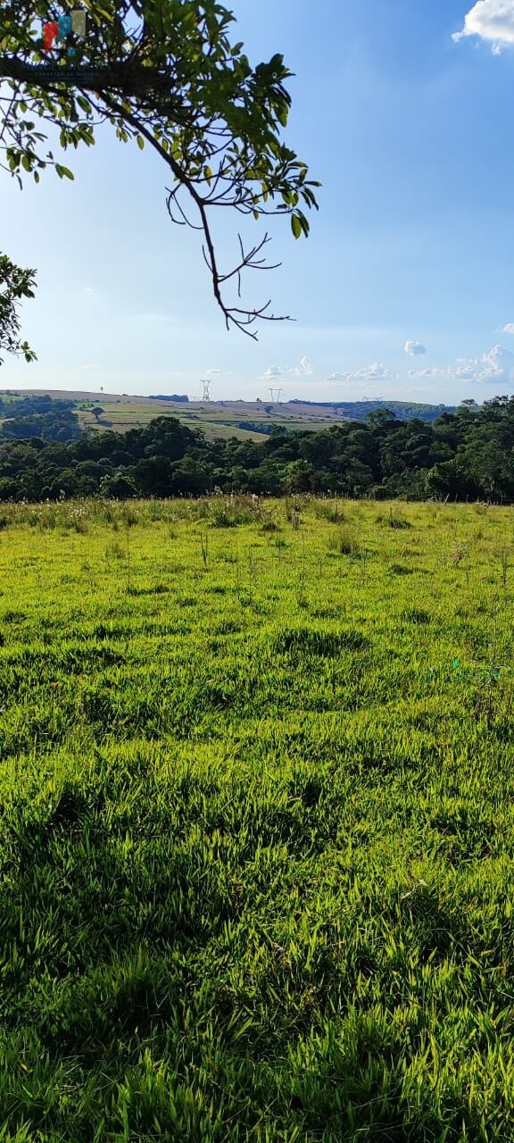 Fazenda à venda com 2 quartos, 121000m² - Foto 8