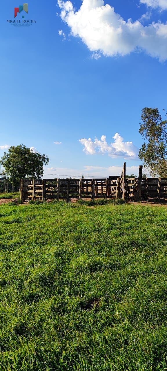 Fazenda à venda com 2 quartos, 121000m² - Foto 4