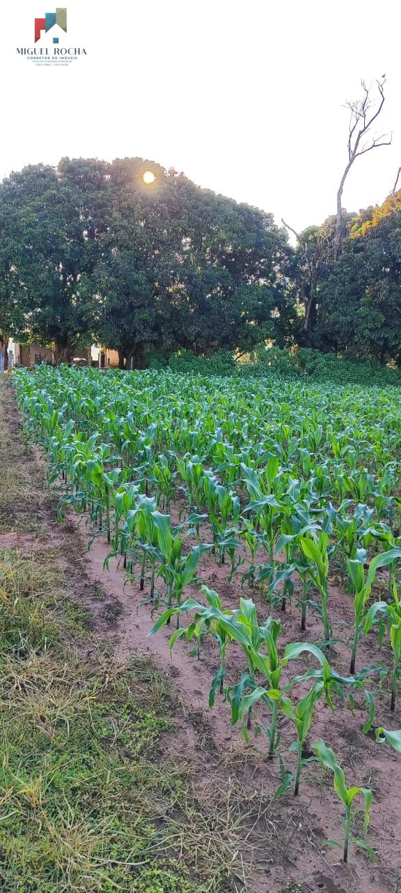 Fazenda à venda com 2 quartos, 121000m² - Foto 18