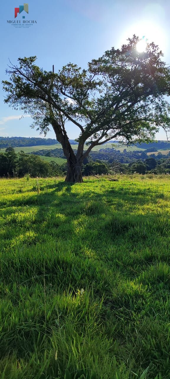 Fazenda à venda com 2 quartos, 121000m² - Foto 20