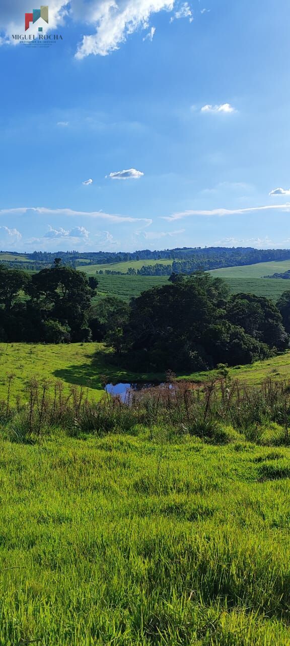 Fazenda à venda com 2 quartos, 121000m² - Foto 11