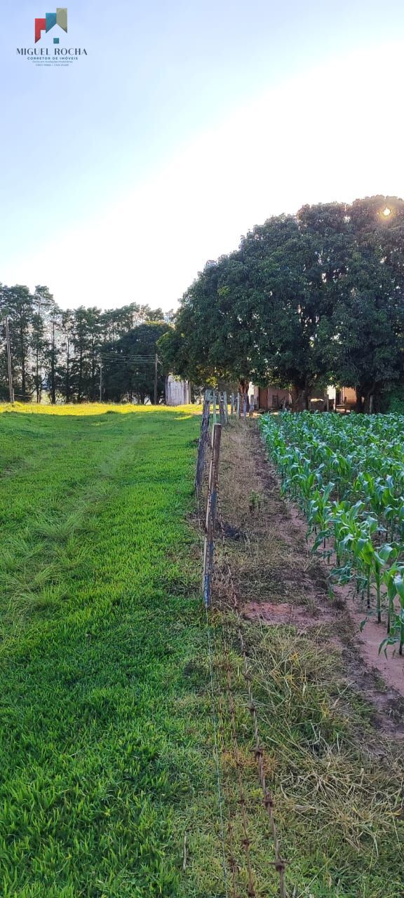 Fazenda à venda com 2 quartos, 121000m² - Foto 23