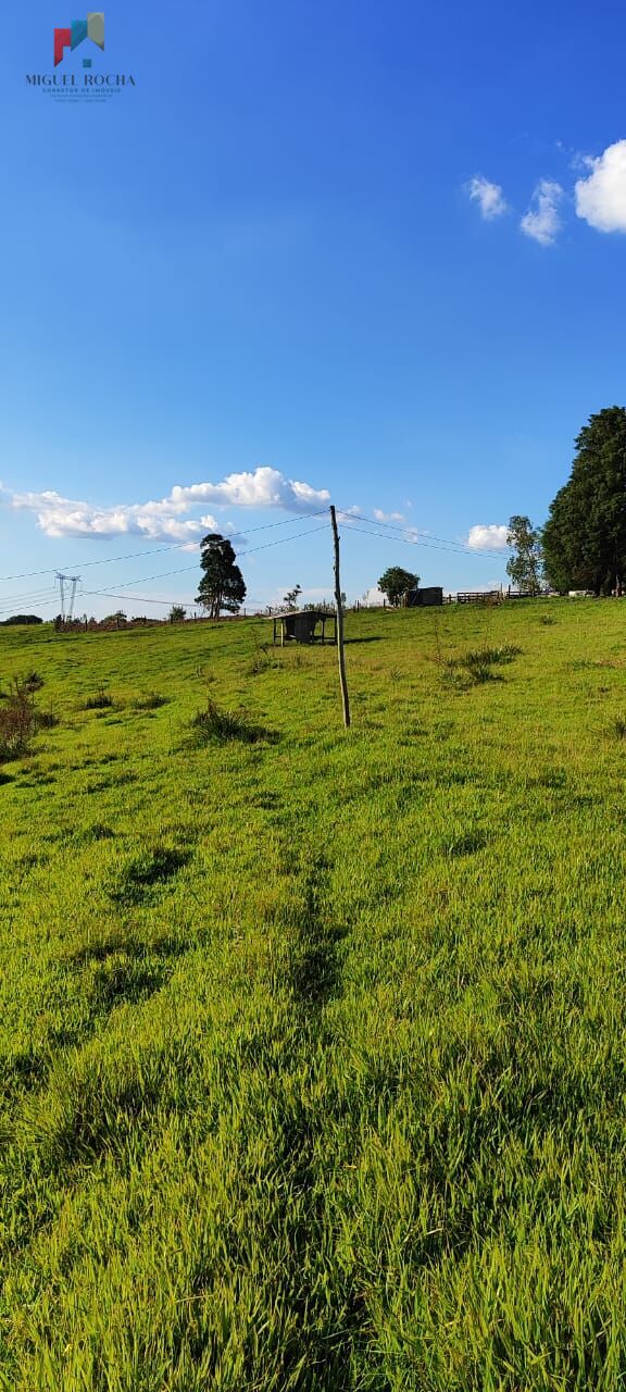 Fazenda à venda com 2 quartos, 121000m² - Foto 13