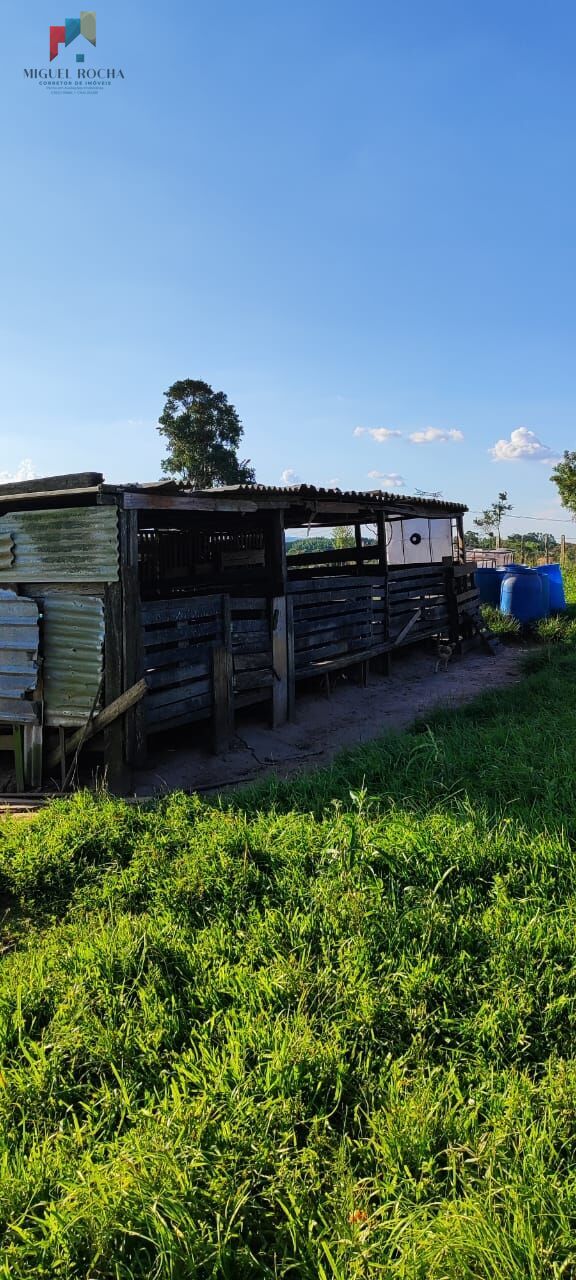 Fazenda à venda com 2 quartos, 121000m² - Foto 7