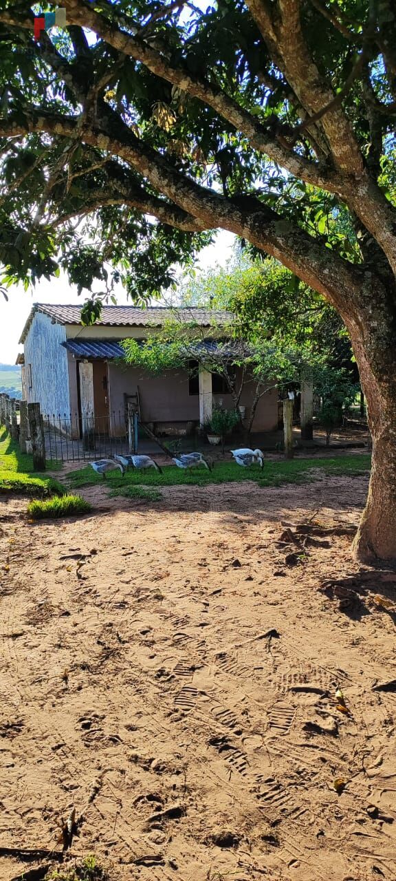 Fazenda à venda com 2 quartos, 121000m² - Foto 5