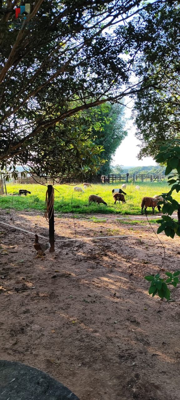 Fazenda à venda com 2 quartos, 121000m² - Foto 16