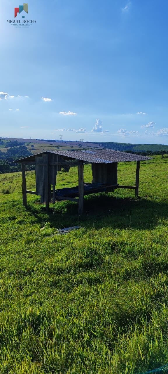 Fazenda à venda com 2 quartos, 121000m² - Foto 10