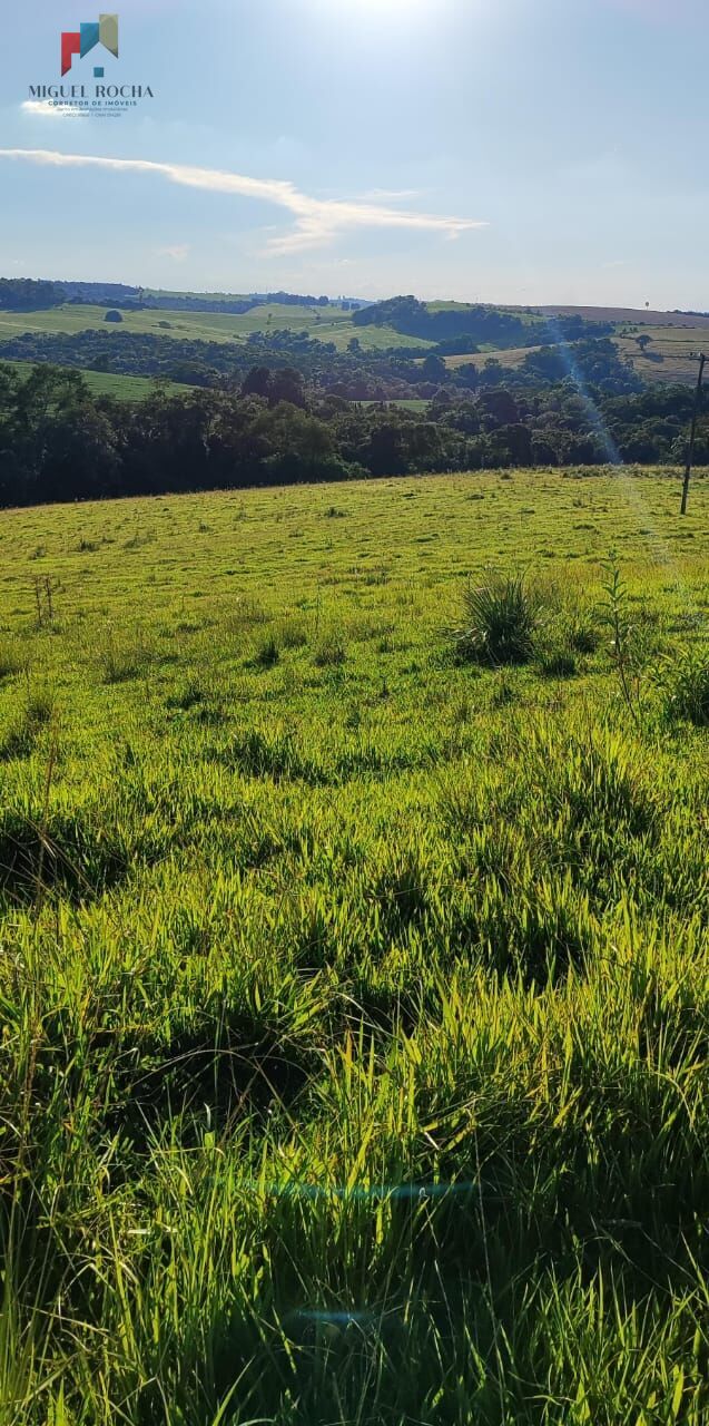 Fazenda à venda com 2 quartos, 121000m² - Foto 22