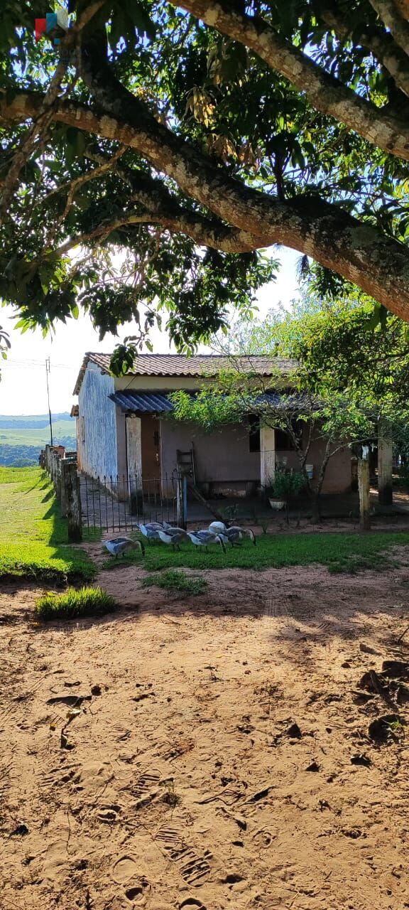 Fazenda à venda com 2 quartos, 121000m² - Foto 3