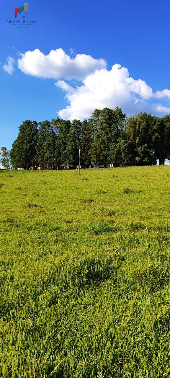 Fazenda à venda com 2 quartos, 121000m² - Foto 21