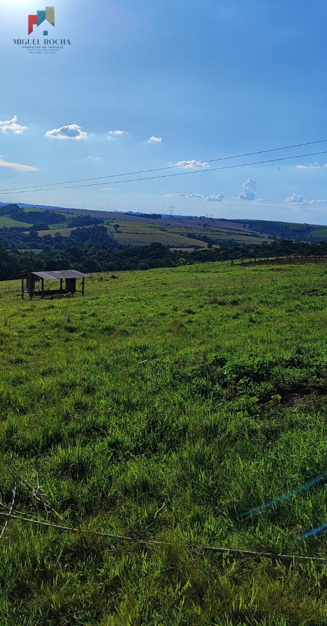 Fazenda à venda com 2 quartos, 121000m² - Foto 14